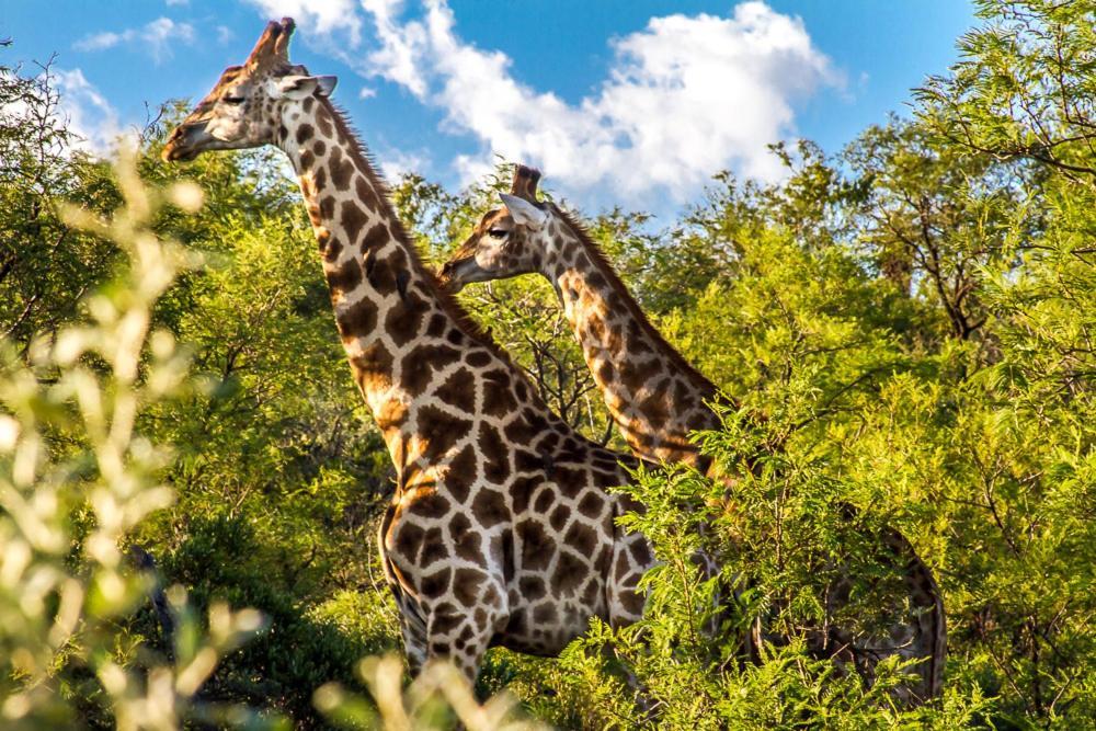 Big Valley Game Lodge Lobatse Exterior photo